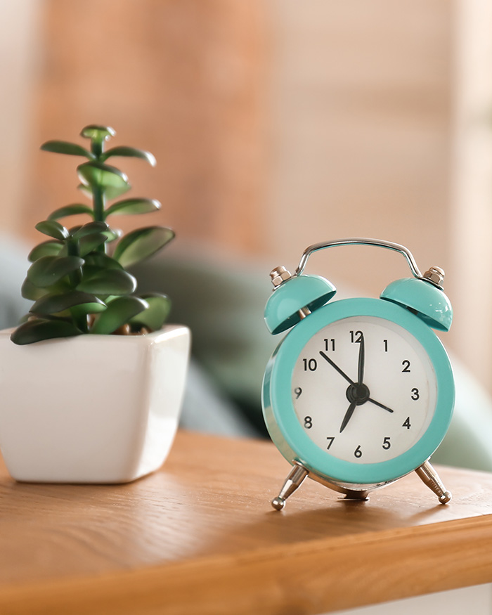 Clock and jade plant on a table for working together with San Diego therapist, Nina Tomkiewicz, LCSW